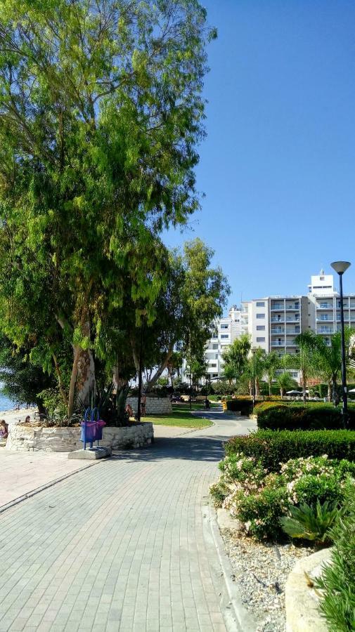 Appartamento Galatex Μaisonette Limisso Esterno foto